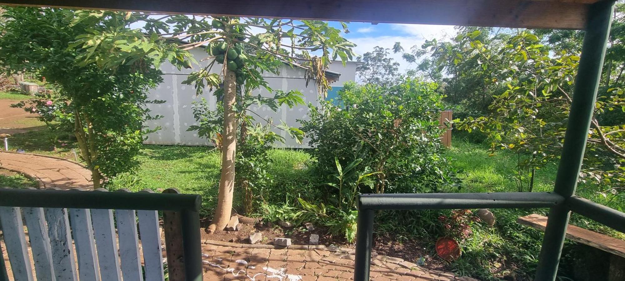 Hostal Henua Roa Hanga Roa Buitenkant foto